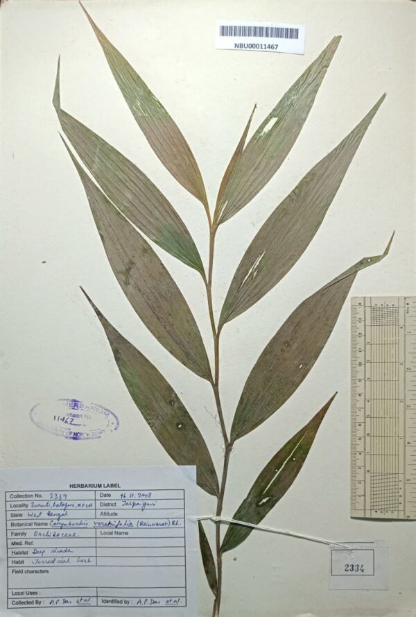 DocScanner 20 Apr 2026 1-43 pm(1)